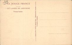 Macht Gascogne CPA Paysage von den landais fest