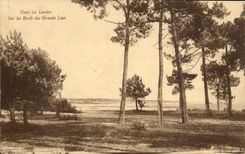 Moors of Gascogne CPA On the edges of the big lakes