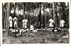 With the country landas MODERN CARD Retrospective with the shepherds on stilts