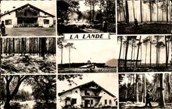 MODERN CARD the moor