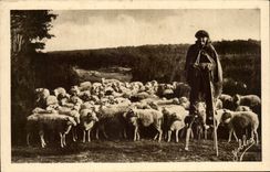 CPA In the Moors of Gascogne Berger landais and his herd