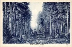 CPA Moors Seen in the drill