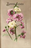 CPA Fantaisie Bonne annee Fleur 
