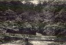 Luchon CPA Footbridge of the pit Marie Louise