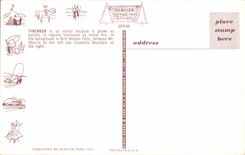 The United States MODERN CARD Fireweed National Glacier park Montana