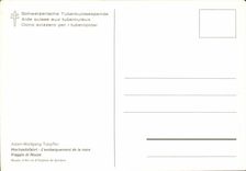 Aide suisse aux tuberculeux CPM Adam Wolfgang Toepfler L'embarquement de la noce Viaggio di Noze