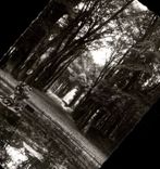 Versailles CPA Park of the castle Basin of Ceres