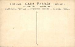 Paris CPA Panorama de la cite vue prise du Louvre
