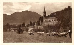 Lourdes - the Basilica - Sight of the Meadow of the Cave - CPA