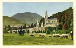 Lourdes - the Basilica - Sight of the Meadow of the Cave - CPA