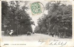 Paris CPA L'allee des acacias