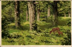 CPA Fantasy Landscape Hinds