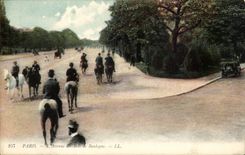 Paris CPA Avenue du Bois de Boulogne (cheveaux horse cheval)