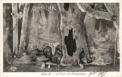 CPA Fantasy Chantecler Act IV the night of the Nightingale (cock)