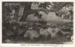 CPA Fantasy Chantecler Act III night the ode at the night