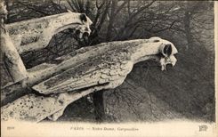Paris CPA Notre Dame Gargouilles