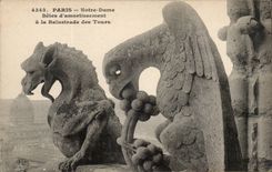 Paris CPA Notre Dame Bete d'amortissement a la balustrade des tours