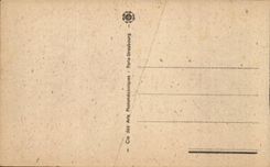 Lourdes CPA the basilica and the peak of Jer