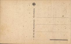 Lourdes CPA the basilica and the Pyrenees