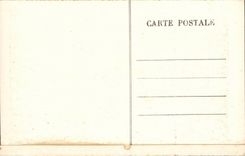 CPA Albi das Kathedrale Sainte Cecile Organ