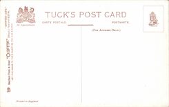 CPA Fantasy Man has good head