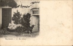 CPA Fantasy Children cars by a goat (goat)