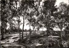 Fontaineableau MODERN CARD the drill has Franchard