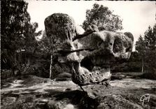 Fontaineableau MODERN CARD the sphinx of druides has Franchard