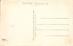 Vichy CPA Grue royale hupee au bassin des cygnes (oiseau)