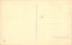 Albi-CPA Flamen-Wohnzimmer-Tapisserie Schloss-Henri-IV das Dorf angemessen