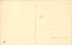 Pau CPA Castle Henri IV and the peak of midday of Ossau