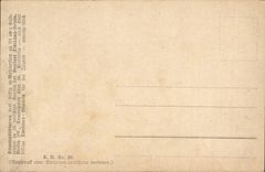 CPA Fantasy Child Hens and swan