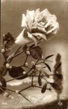 CPA FAntaisie Fleur Rose Bonne anne