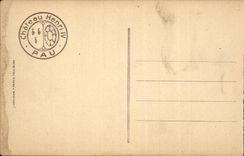 Pau CPA the castle Henri IV and the peak of midday of Ossau