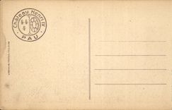 Pau CPA the castle Henri IV seen of the park