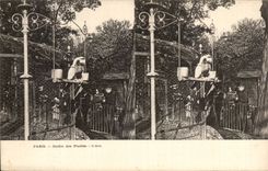 Paris CPA Botanical garden the macaw (bird) (stereoscopic sights)