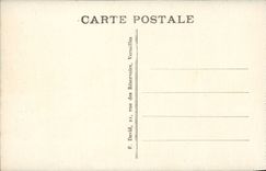 Versailles CPA the castle the orangery of the palate