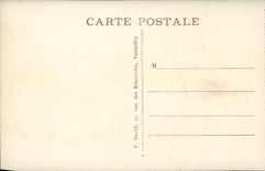 Versailles CPA the castle Large water Basin of latone View of the green carpet and the large canal