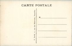 Versailles CPA the castle Tank of Apollo the green carpet and the palate