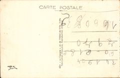 Vichy CPA DAns les grands parcs Le bassin des cygnes