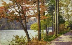 CPA Fantaisie Paysage