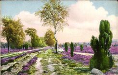 CPA Fantaisie Paysage