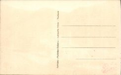 Lourdes CPA View from above on the basilica and the valley of Gave