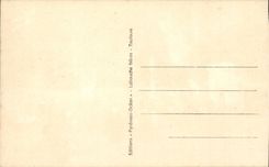 Lourdes CPA the virgin couronnee the esplanade and the basilica