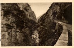 CPA Falle des Wolfs (Wolf)