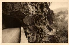 CPA Falle des Wolf (Wolf) Eingangs des Tunnels