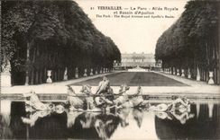 CPA Versailles the park Allee royal and basin of Apollo