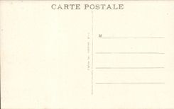 Pau CPA the park of the national castle Statue of Gaston Phoebus