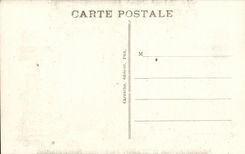 Pau CPA das Schloss Hneri IV und gab