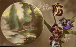 Flowers - Beautiful Flowers - Thought - Pansies Good Festival - Cozy Cottage - CPA